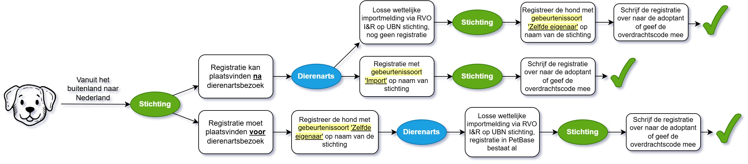 Stappenplan import hond stichting
